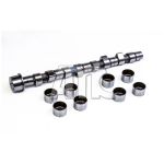 Conjunto da árvore de cames AMC 665861K