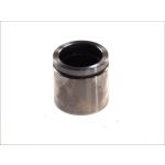 Pistão, pinça de travão AUTOFREN SEINSA D02587