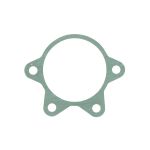 Elemento da transmissão ZF 6091301013ZF