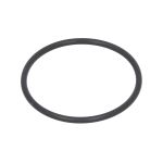 Elemento, transmissão automática ZF 0501322981ZF
