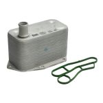Arrefecedor de óleo, óleo do motor NISSENS 90786