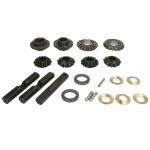 Kit de reparación, diferencial CARRARO 66317-CR