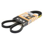 Correa poly V CVA 2754909 CVA