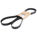 Cinto com várias nervuras (6PK989) FPT 504380539-FPT
