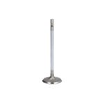 soupape d'admission FRECCIA 6789/SCR