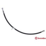 Flexible de frein BREMBO T 79 042