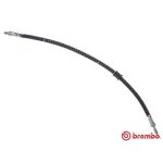 Flexible de frein BREMBO T 24 128
