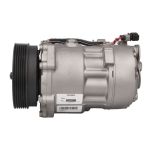 Klimakompressor TEAMEC 8646001