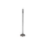 Válvula de escape IPD PARTS 1883122-IPD