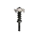 Conjunto de chassis, molas/amortecedores ARNOTT EUROPE C-3552