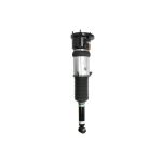 Suporte, suspensão pneumática ARNOTT EUROPE AS-3121