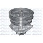 Pompa del refrigerante DOLZ S216
