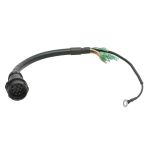 Conduite électrique PARSUN F40-03000500EFI