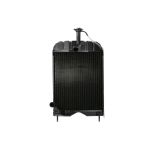 Kühler, Motorkühlung THERMOTEC D7AG122TT