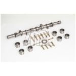 Conjunto da árvore de cames AMC 662851K