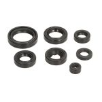 Conjunto de vedantes do óleo do motor ATHENA P4E0210400011