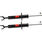 Amortiguador TRW JGS228T