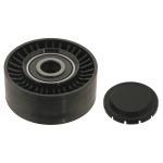Polia guia, correia trapezoidal SWAG SW30930621