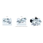 Pièces de montage du système d'échappement BM CATALYSTS FK50527B