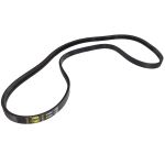 Cinghia Poly-V GATES 1423274-GAT
