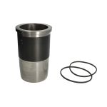 Revestimento do cilindro MAHLE 439 LW 00100 001