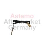 Sensore di temperatura dei gas di scarico HITACHI 2507049