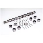 Conjunto da árvore de cames AMC 666891K