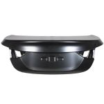 Coperchio del bagagliaio BLIC 6301-00-3171710P