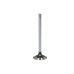 Pakoventtiili FP DIESEL R90692-FP
