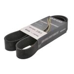 Cinghia Poly-V DAYCO 10PK1162HD