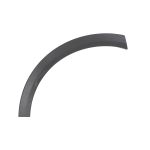 Aile - moulure / protection BLIC 5703-04-7853472P