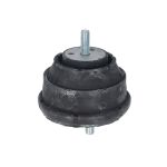 Aslichaam-/motorsteunlager DELPHI TEM257