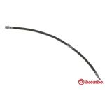 Latiguillo de freno BREMBO T 06 037