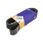 Correa trapecial poli V SRP 15078671
