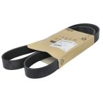 Cinto com várias nervuras (6PK989) FPT 8034267