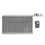 Differential-Reparatursatz MAHLE AE 250 000P