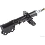 Amortisseur HERTH+BUSS ELPARTS J4300302