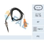 Capteur, température des gaz FAE 68064
