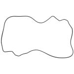 Joint, Couvre-culasse FPT 5802054076-FPT