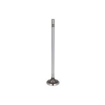 Auslassventil IPD PARTS 1537024-IPD