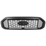 Grelha de radiador BLIC 6502-07-2599992P