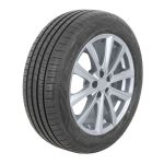 Neumáticos de verano APOLLO Alnac 4G 195/65R15 XL 95T