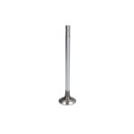 Pakoventtiili FP DIESEL 3803995-FP