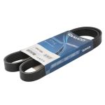 Courroie trapézoïdale à nervures DAYCO 6PK1152K