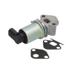 Válvula EGR NRF 48330
