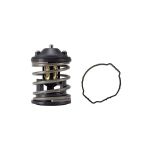 Termostato, refrigerante BEHR MAHLE TX 163 87D