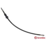 Tubo flessibile del freno BREMBO T 50 066