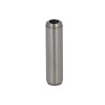 Guide de soupape FPT 4802126-FPT