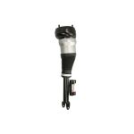 Puntone della sospensione pneumatica MAGNUM TECHNOLOGY APM038MT