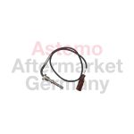 Sensore di temperatura dei gas di scarico HITACHI 2507006